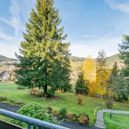 H5 2 - Kingsize Bett, Netflix, Balkon, Pool Apartment Baiersbronn